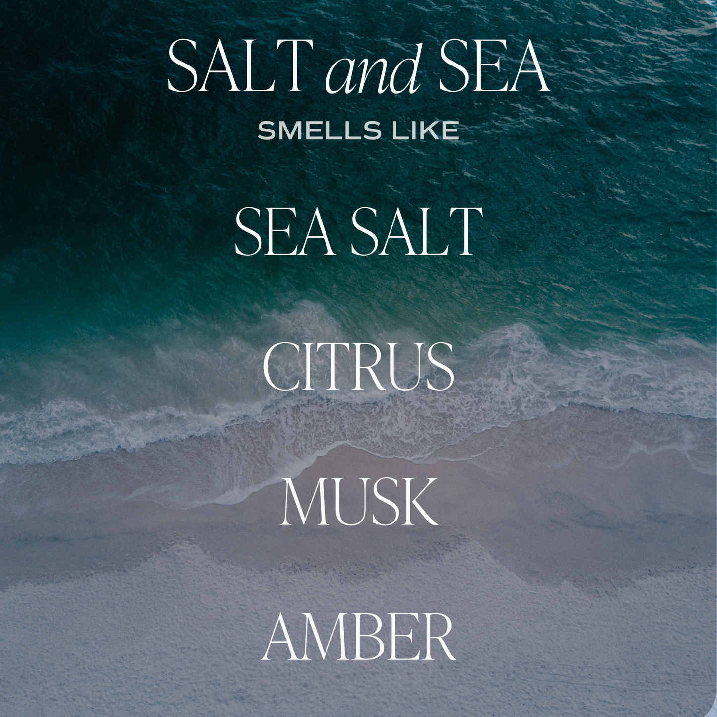 *NEW* Salt & Sea Hanging Air Freshener - Home Decor & Gifts