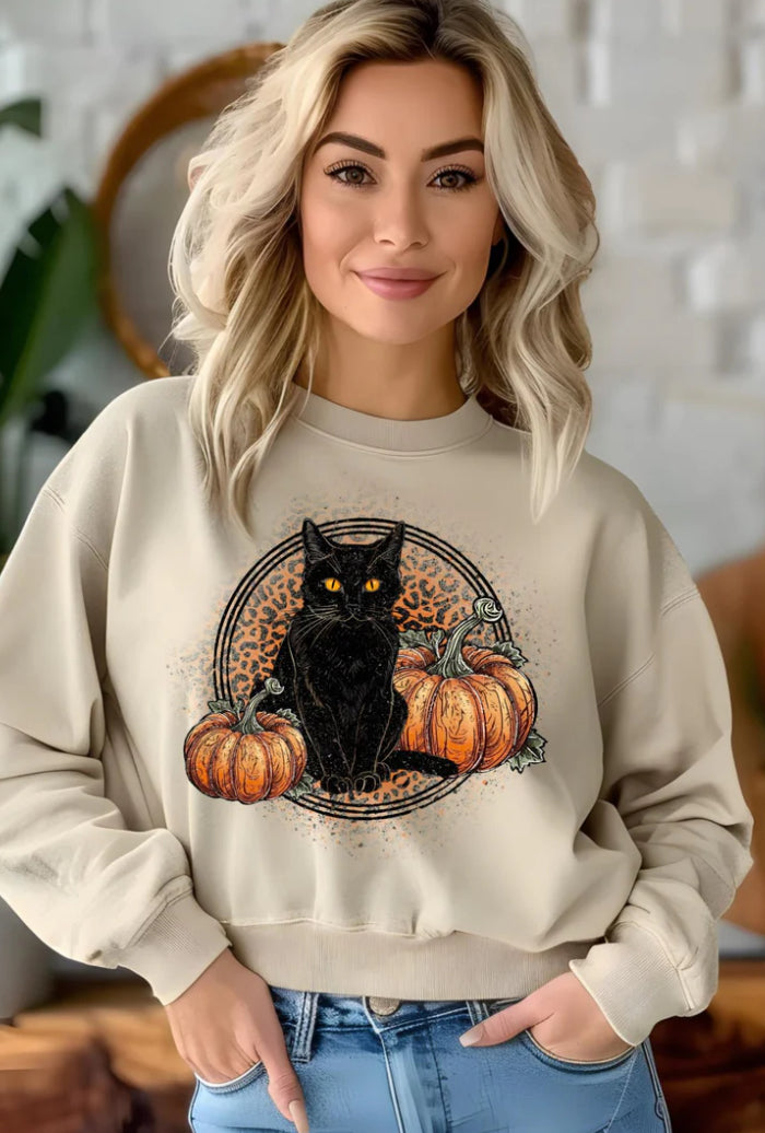 Black cat