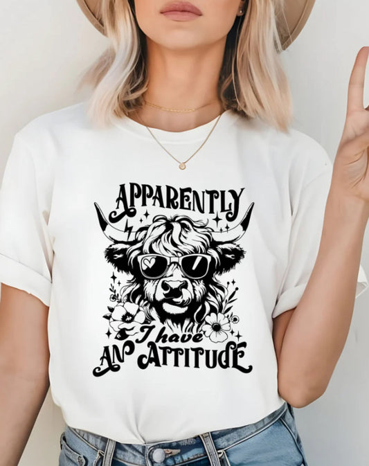 APPARENTLY I HAVE AN ATTITUDE